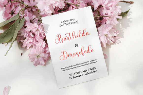 Balenyce Font - Preview 1