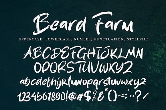 Beard Farm Font - Preview 6