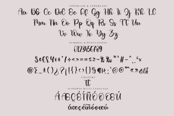 Endorse Font - Preview 5