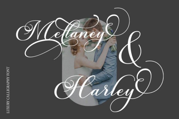Burberry Script Font - Preview 1