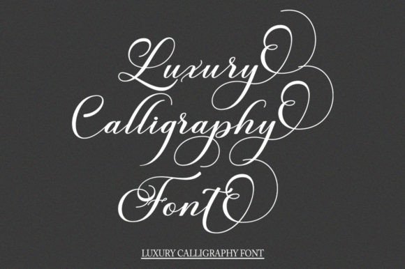 Burberry Script Font - Preview 5