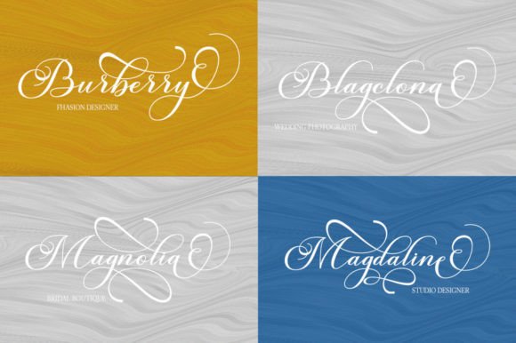 Burberry Script Font - Preview 6