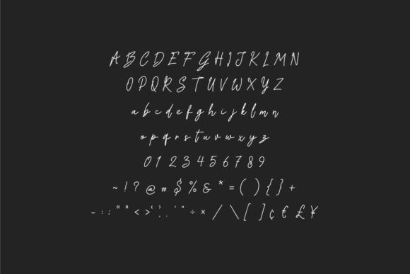 Hand Writen Font - Preview 3