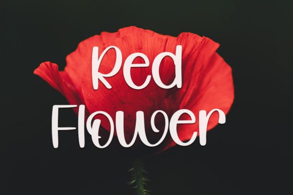 February Font - Preview 2