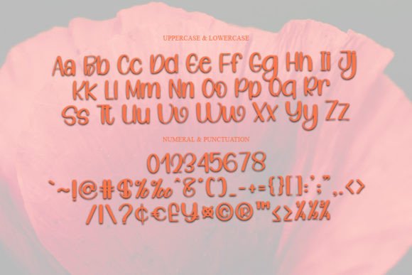 February Font - Preview 3