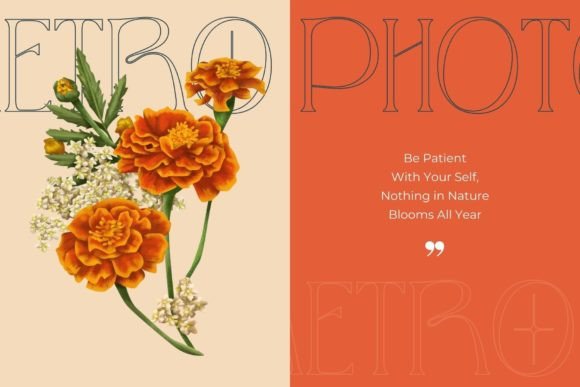 Metro Photograph Font PNG with transparent background - Preview 5
