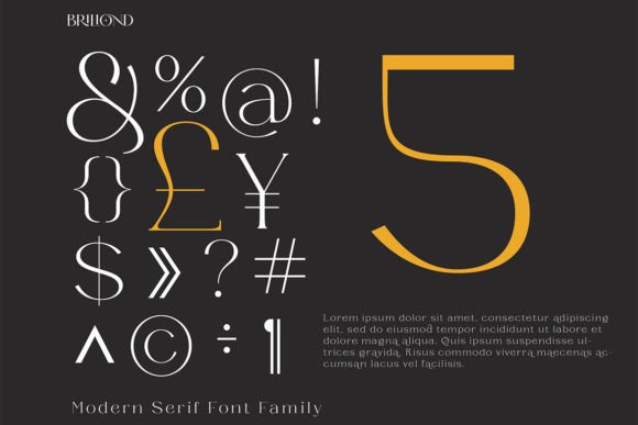 Briliond Font - Preview 4