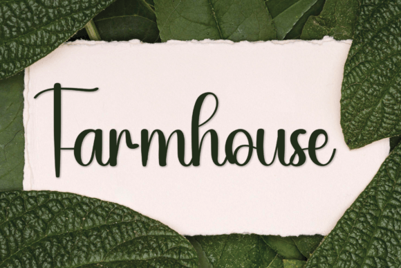 Dry Bakery Font - Preview 2