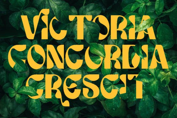 Floras Display Font - Preview 1