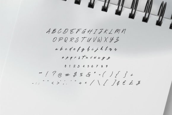 Goster Font - Preview 3