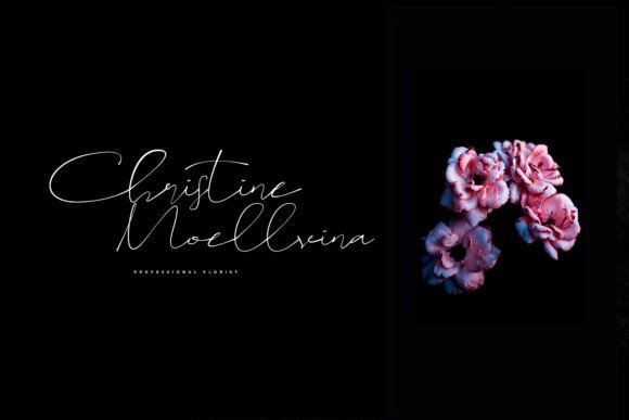 Sameday Signature Font PNG with transparent background - Preview 1