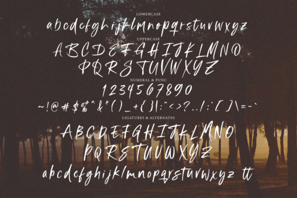 Barinde Brush Font - Preview 5