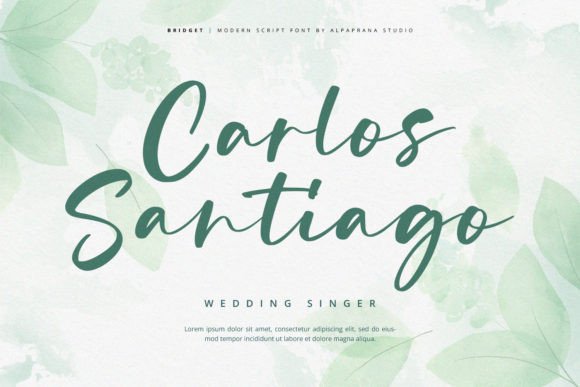 Bridget Font - Preview 1