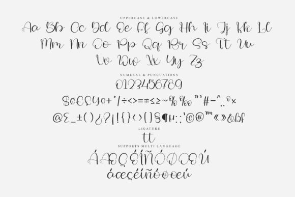 Brisket Font - Preview 5