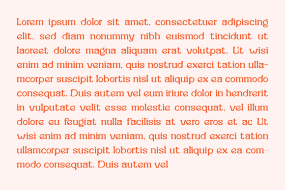 Burkey Font - Preview 3