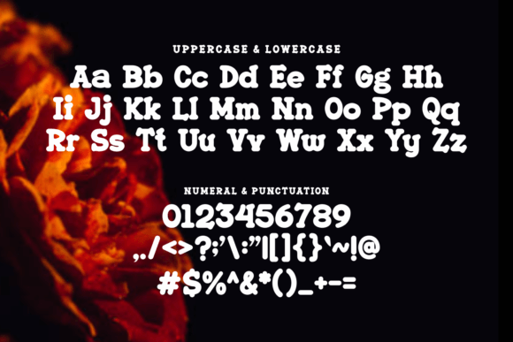 Ernimo Font - Preview 1