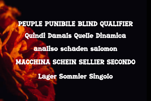 Ernimo Font - Preview 2