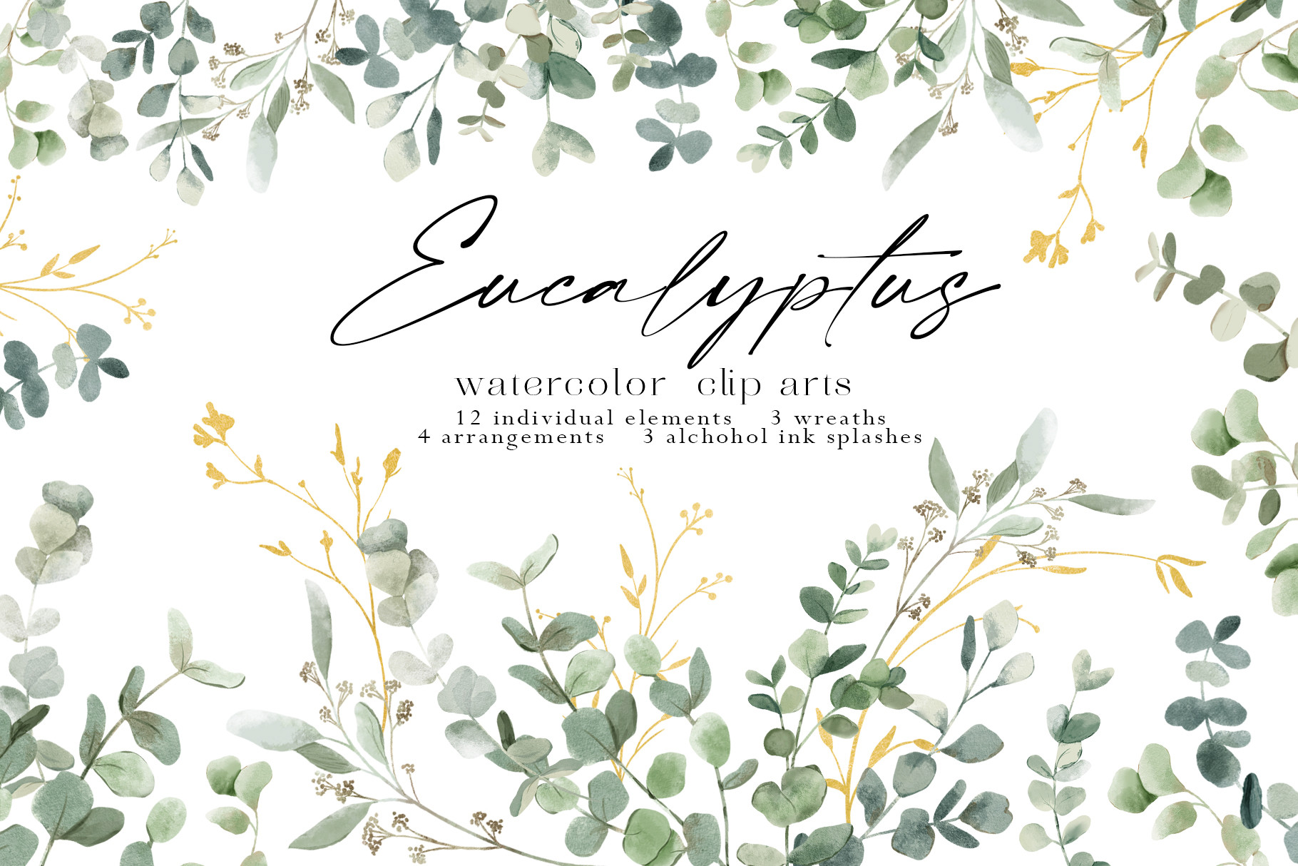 Eucalyptus watercolor illustrations