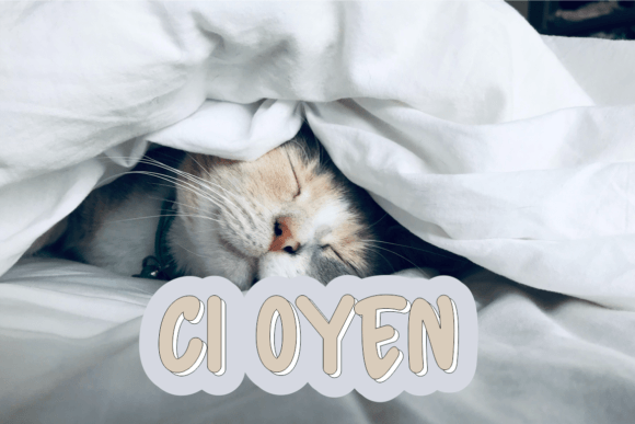 Garavien Font PNG with transparent background - Preview 1