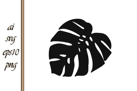 philodendron majesty Philodendron Majestic