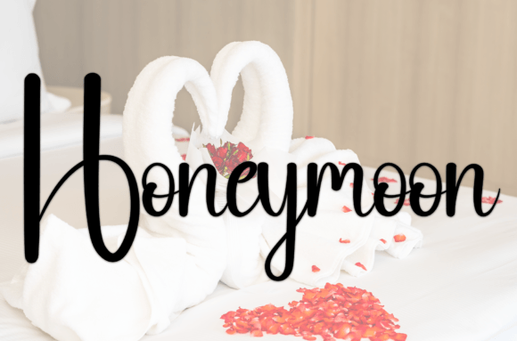 Online Signature Font PNG with transparent background - Preview 3