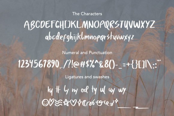 Aquabay Font - Preview 4