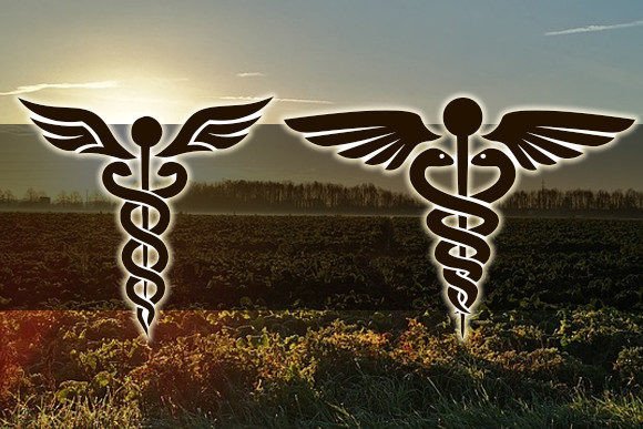 Farmacy Font PNG with transparent background - Preview 1