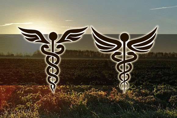 Farmacy Font PNG with transparent background - Preview 2