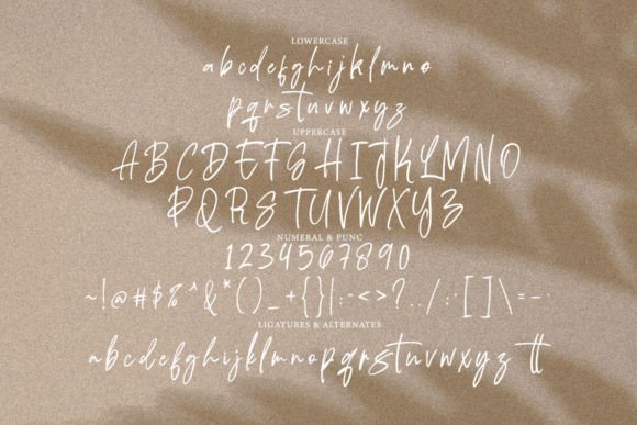 Adusian Signature Font - Preview 5