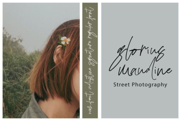 Adustine Signature Font - Preview 3