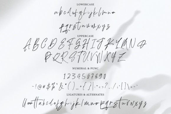 Adustine Signature Font - Preview 6