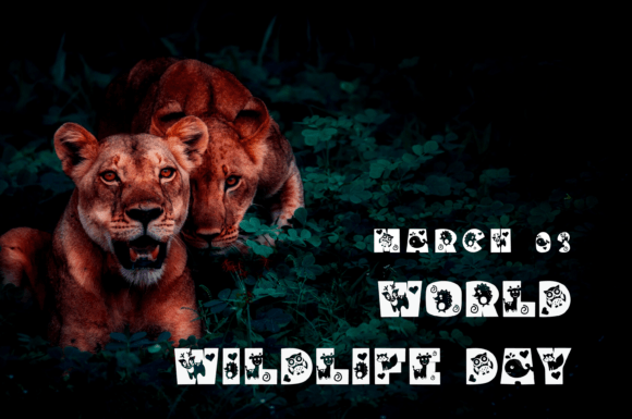 Animal Party Font - Preview 3