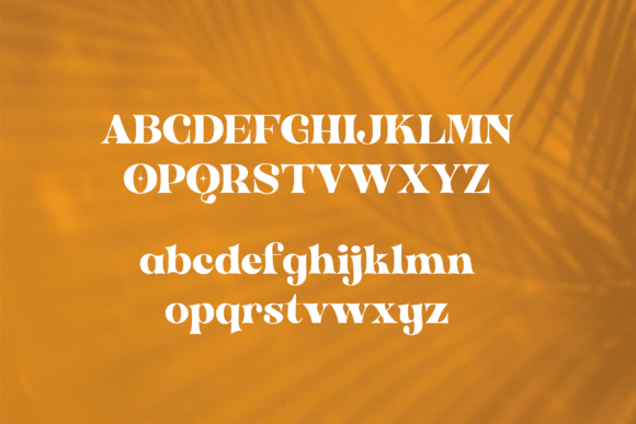 Antigua Font - Preview 1