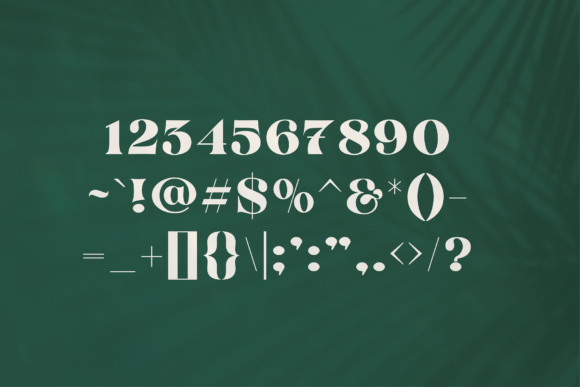 Antigua Font - Preview 2