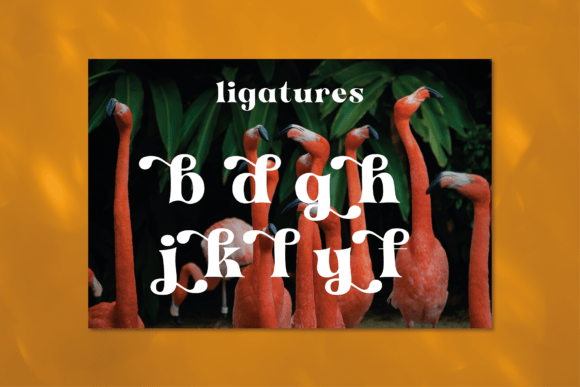 Antigua Font - Preview 3