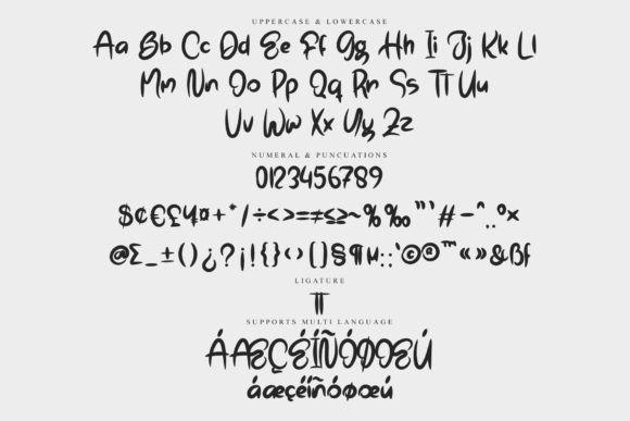 Boho Signature Font - Preview 5