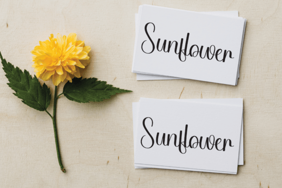 Bookline Font - Preview 3