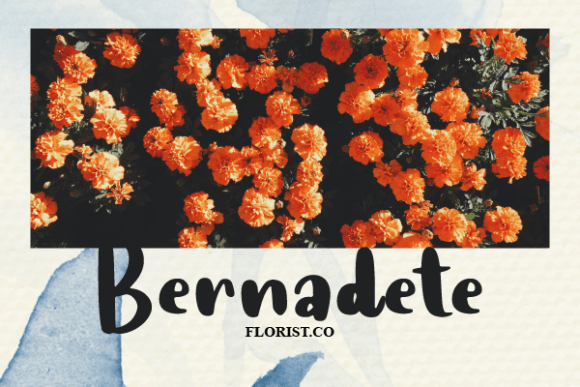 Charlotte Fernandes Font - Preview 4
