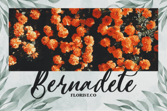 Judith Bunting Font PNG with transparent background - Preview 4