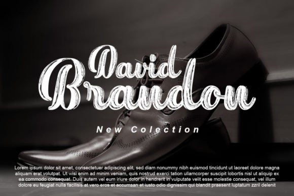 New Vintage Font font preview - 5