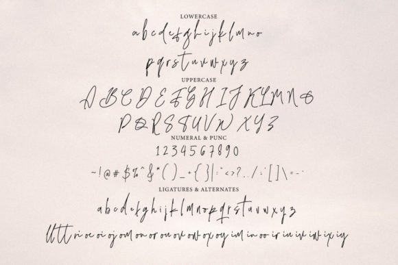 Qinderia Signature Font PNG with transparent background - Preview 6