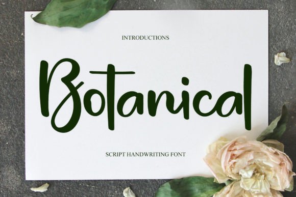 Botanical Fontes Script Fonte Por Bintang Studio