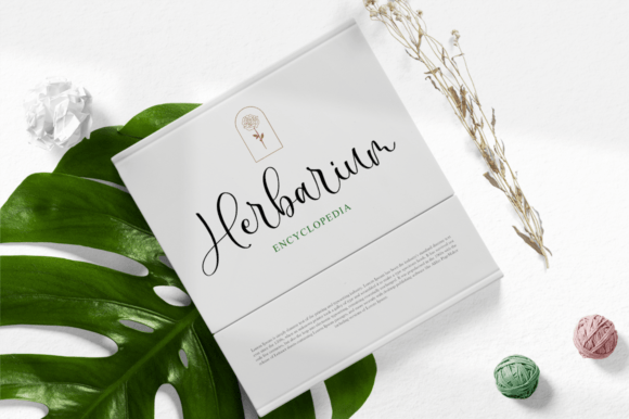 Cecilyana Font - Preview 5