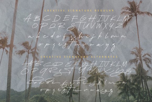 Creative Signature Font - Preview 3