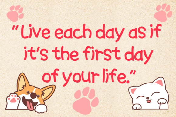 Dogs and Cats Font - Preview 2