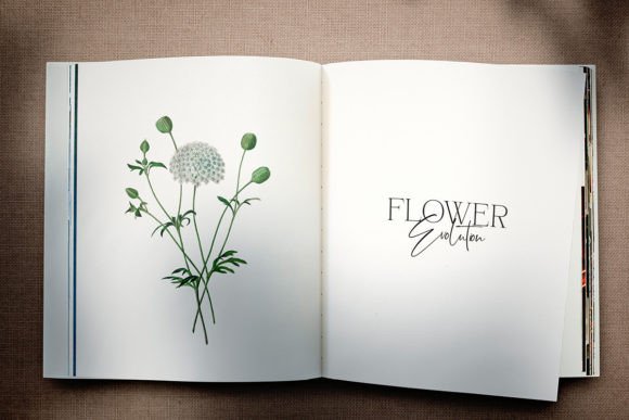 Bonelest Font - Preview 6