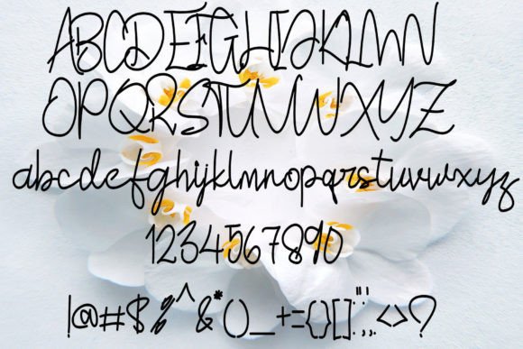 Gusokigoe Font - Preview 4