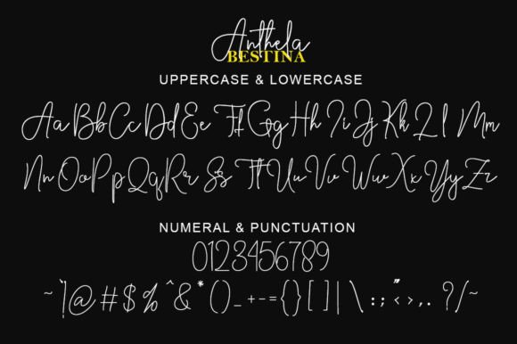 Anthela Font - Preview 6