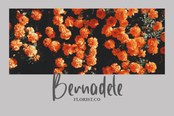 Dempster Tracey Font PNG with transparent background - Preview 4