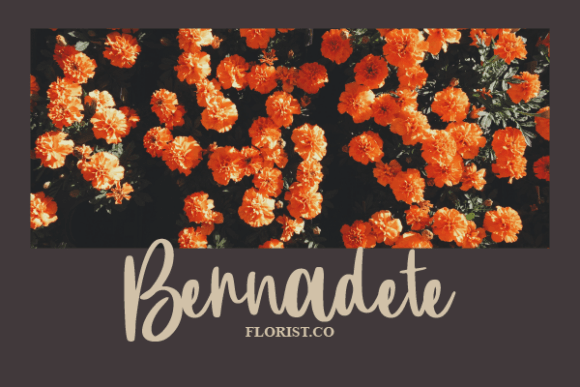 Moyra Lorraine Font PNG with transparent background - Preview 4